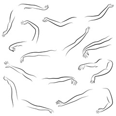 Women s hands. Beautiful graceful silhouettes. Collection. Vector illustration of a set