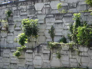 SEREMBAN, MALAYSIA -JUNE 3, 2019: Re-wall mainly called as “Reinforced Earth- wall” is precast concrete panel constructed with artificial reinforcing and mainly used for retaining walls. 