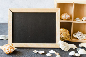 Empty chalkboard or photo frame with seashells. Summer background. Summer background.