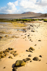 Obraz premium view of playa lambra in la graciosa, canary islands, spain