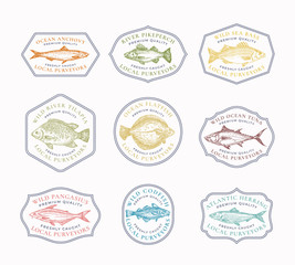 Fish Vintage Frame Badges or Logo Templates Set. Hand Drawn River and Ocean Fishes Sketch Emblems Bundle with Retro Typography.