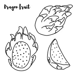 set of ripe sketch dragon fruit. hand-drawn illustration