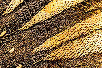 macrophotography of a wood surface with brown streaks