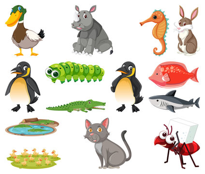 Large set of different types of animals on white background