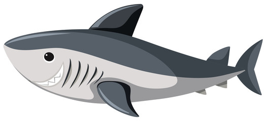 Great white shark on white background