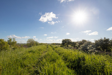 Mit Gras bewachsener Damm im Gegenlicht vor blauem Himmel