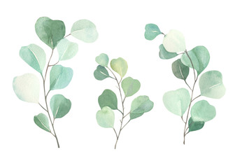 Watercolor floral illustration set - green eucalyptus leaf branches collection, for wedding invitation, greetings cards, wallpapers,  background. Eucalyptus, green leaves.