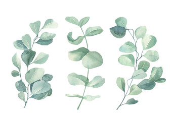 Watercolor floral illustration set - green eucalyptus leaf branches collection, for wedding invitation, greetings cards, wallpapers,  background. Eucalyptus, green leaves. - obrazy, fototapety, plakaty