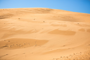Fototapeta na wymiar Desert Sand Dunes on the Beach of Bolonia, Spain