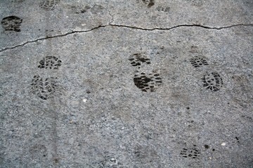 Traces of shoes on the pavement
