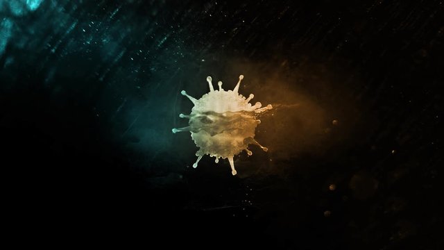 Virus Microscope Particles  Logo Reveal 4k