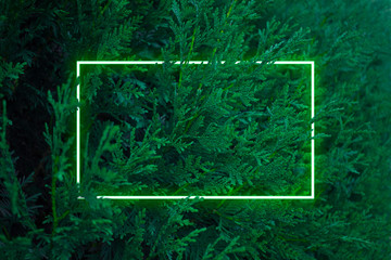 Сreative fluorescent color layout.Neon light flat square frame on grass cyberpunk background Copy space for poster,banner,party invitation,sale advertisement,card,blog.Easy to place your text