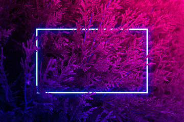 Сreative fluorescent color layout. Neon light flat square frame on grass background in dark...