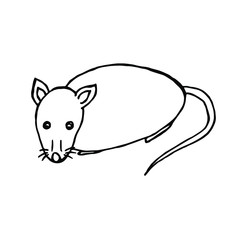 Vector illustration.Close-up mouse / rat on a white background.