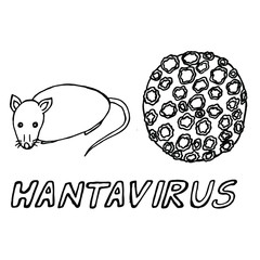  Vector illustration. Close-up of hantavirus with the inscription, mouse / rat on a white background.
