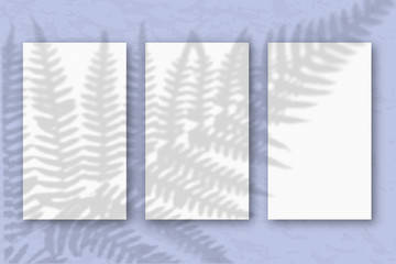 3 vertical sheets of white textured paper on a pastel blue wall background. Mockup with an overlay of plant shadows. Natural light casts a shadow from the top of the field plants and flowers