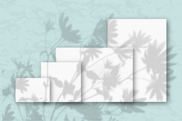 Several horizontal and vertical sheets of white textured paper against a blue wall. Mockup overlay with the plant shadows. Natural light casts shadows from flowers and leaves of daisies