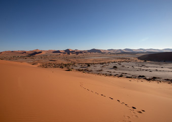 Landscape at the namib desert in Namibia