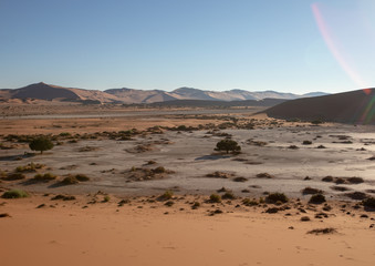 Landscape at the namib desert in Namibia