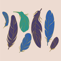 Beautiful Feather Patterns