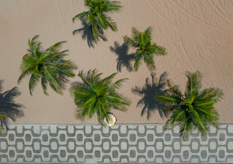 Aerial view of a famous Copacabana sidewalk mosaic with palm trees on the beach