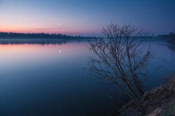 Tree on the Vistula on a moonlit night near Konstancin-Jeziorna, Poland