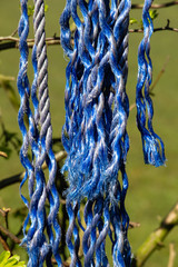 Dangling blue ropes