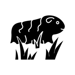 Guinea pig black glyph icon. Shaggy rodent in grass. Pocket pet. Adorable domestic cavy. Cute little cavia. Local Peruvian wildlife. Silhouette symbol on white space. Vector isolated illustration