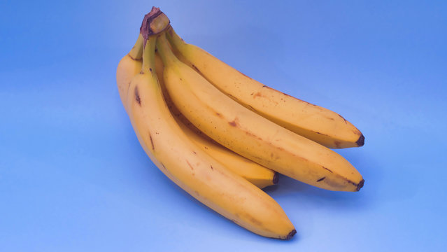 Des bananes mure sur un fond de couleur bleu