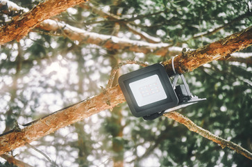 Tree-mounted led spotlight on the pine branch in the winter pine forest