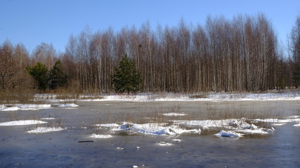 Spring landscape: river flooding in the forest in early spring on a warm Sunny day