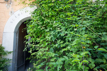 The ruins of the school of the ghost town of Romagnano al Monte, Salerno, Campania, Italy