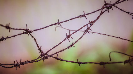 Barbed Wire Fence 