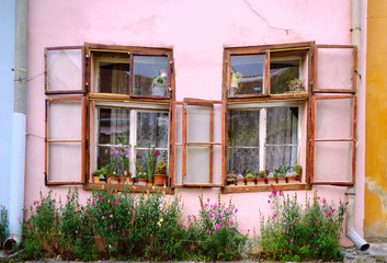 Facade with Old vintage rustic wooden window frames, filled with potted cacti and street with overgrown wild flowers