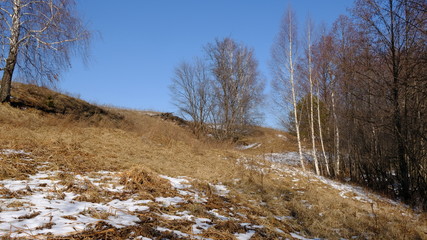 Spring landscape: river flooding in the forest in early spring on a warm Sunny day