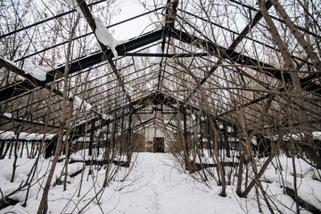 
old oversized greenhouse with dried plants in the snow, metal fittings