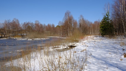 Spring landscape: river flooding in the forest in early spring on a warm Sunny day