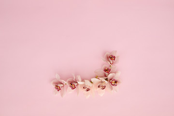 Floral composition. Frame made of orchid flowers on pink background. Top view, flat lay