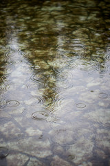 
dripping rain on a flooded street