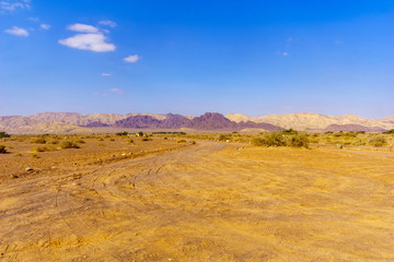 Fototapeta na wymiar Arava desert landscape