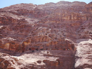 scenery with group of goats in white and brown standing at a rocky cliff near Petra, Jordan, Middle East