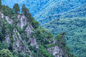Fototapeta na wymiar Stone cliff with pines growing on it in front of a green mountainside