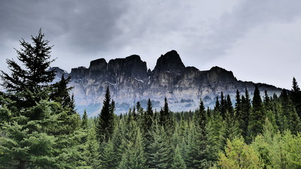 Castle Mountain Broods