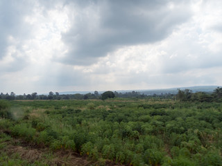 Obraz premium Meadows and fields In the sky there are clouds