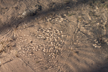 abstract water background