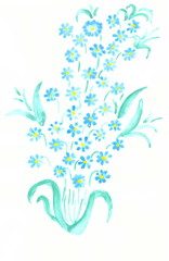 Drawing with watercolors: A plant with small blue flowers.
