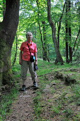 Obraz premium keltenwall auf dem donnersberg
