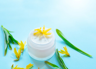  Natural herbal cream on a bright blue background with copy space. Concept spring cosmetics for face and hands. Yellow flowers and green leaf.