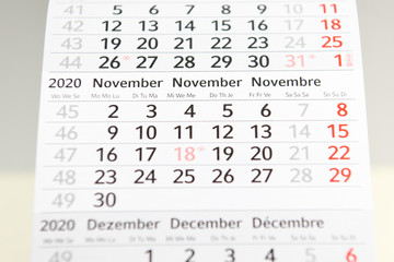 Calendar planner for the month November 2020