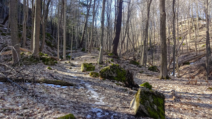 Hamilton is a beautiful Canadian city with forest and waterfalls